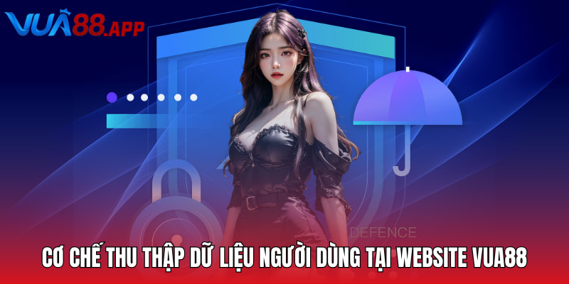 Chính Sách Bảo Mật VUA88 - Quy Tắc Quan Trọng Cần Nắm 2 Cơ chế thu thập dữ liệu người dùng tại website VUA88