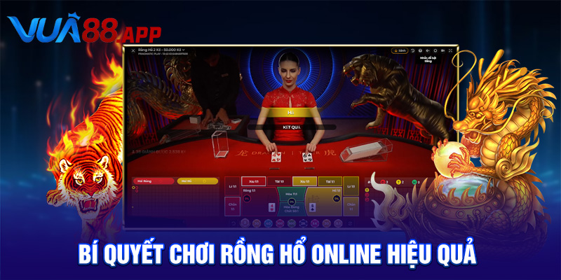 Bí quyết chơi Rồng Hổ online hiệu quả 