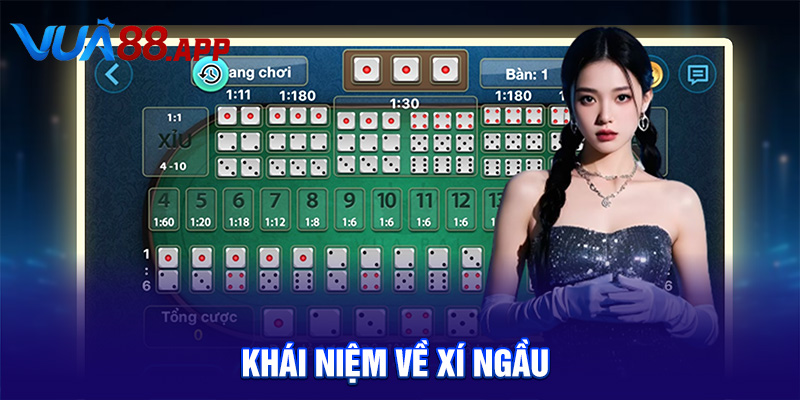 Khái niệm về xí ngầu 