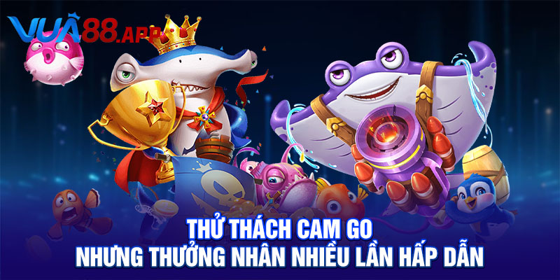 Thử thách cam go nhưng thưởng nhân nhiều lần hấp dẫn